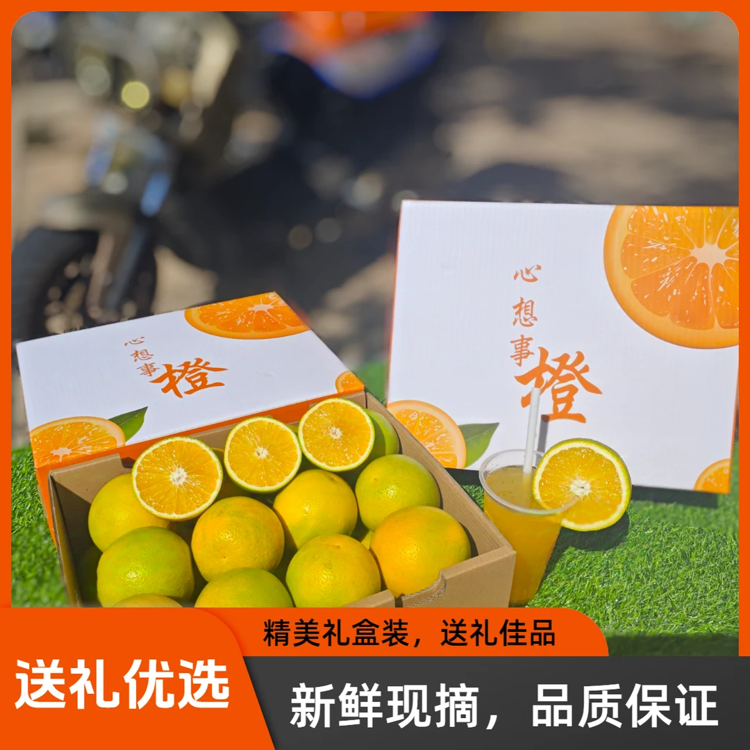 【正宗云南哀牢山】高品质无核冰糖橙(现摘现发、不打蜡、不催熟)