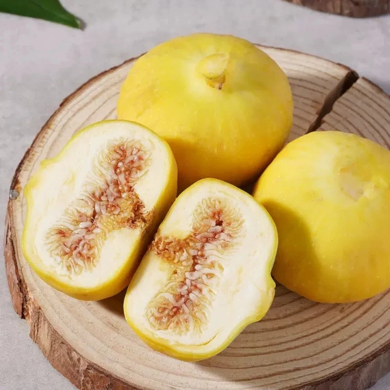 新疆阿图什无花果鲜果新鲜水果正当季新疆糖包子无花果