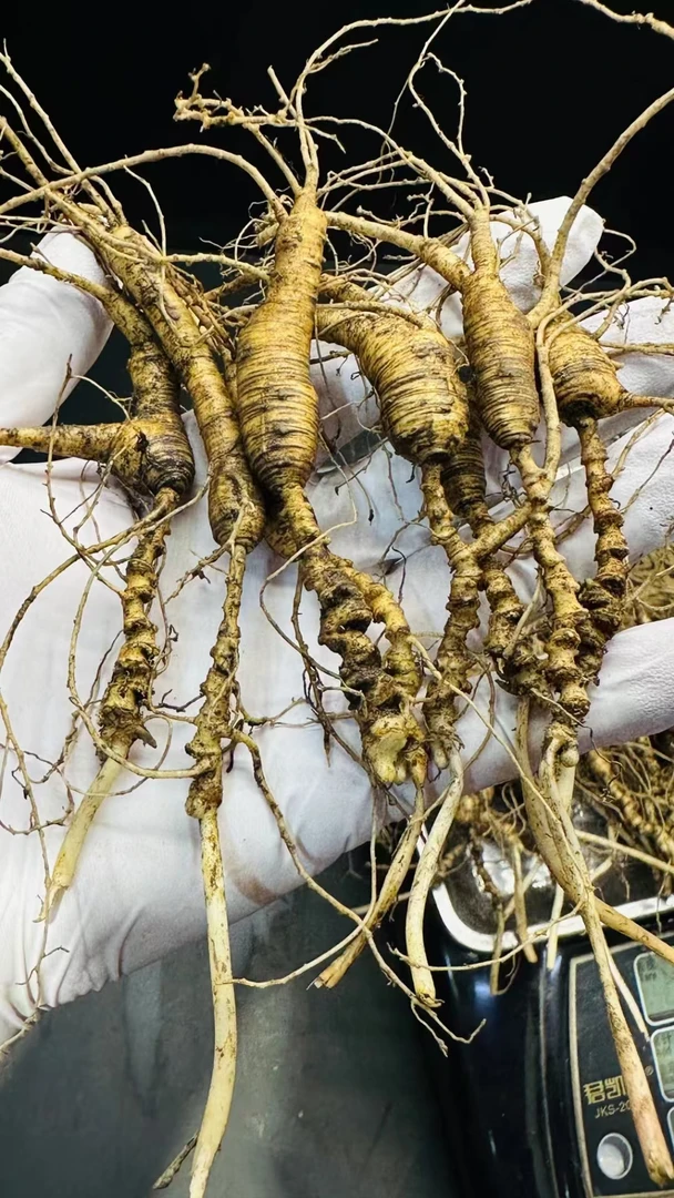 鲜人参～一物一拍实物直播间截图为准