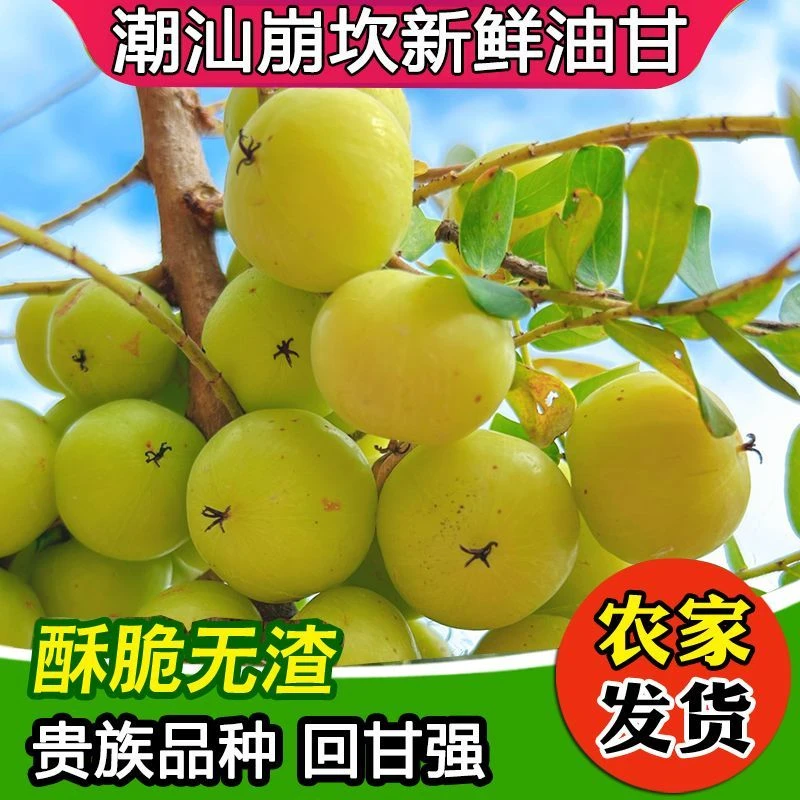 潮汕饼甜油甘果丙甜潮汕高山油甘柿饼油甘榨汁煲汤回甘强油甘王