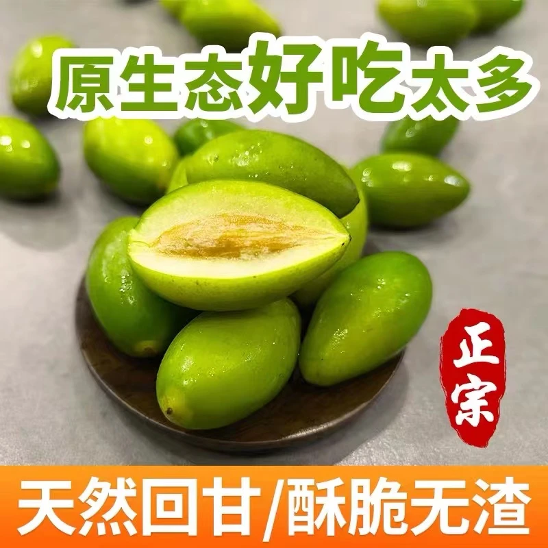 灵峰橄榄鲜果正宗原汁原味生吃推荐天然回甘好新鲜青橄榄鲜果