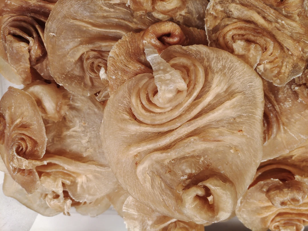 【潮满堂】黑鳘胶花胶海产干货营养煲汤