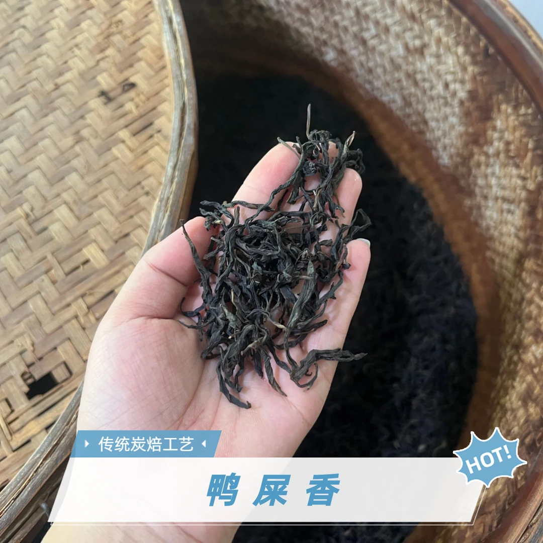2025年鸭屎香【头春头采】凤凰单丛茶