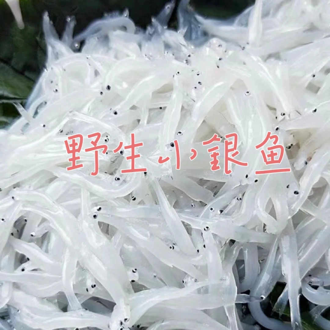 野生小银鱼 面条鱼 玻璃鱼 纯野生活冻 约200克/盒顺丰包邮