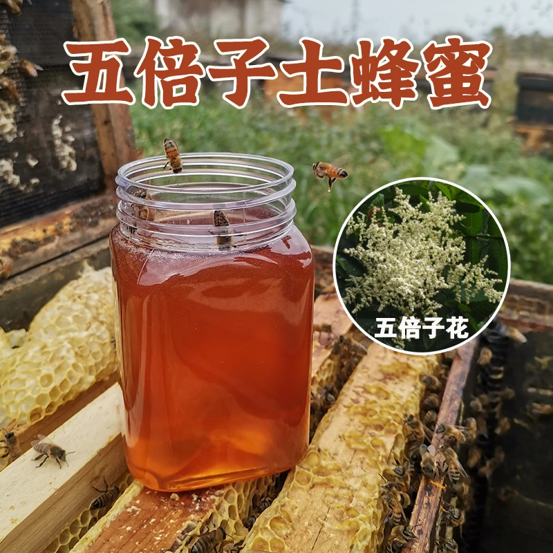 五倍子药花成熟蜂蜜野花蜂蜜农家自产蜂蜜花香蜜香浓郁