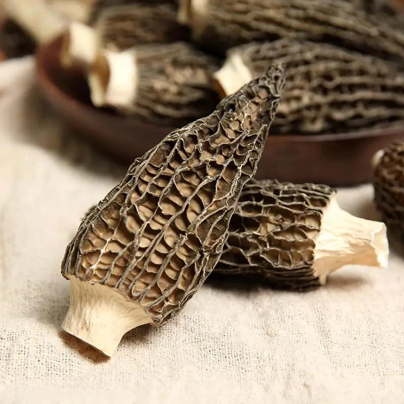 王屋山羊肚菌3-5精品干货饱满肉质精选鲜美