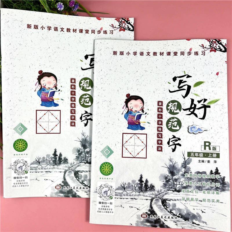 人教部编版五年级语文练字帖同步练字帖笔顺笔画写好规范字练字帖
