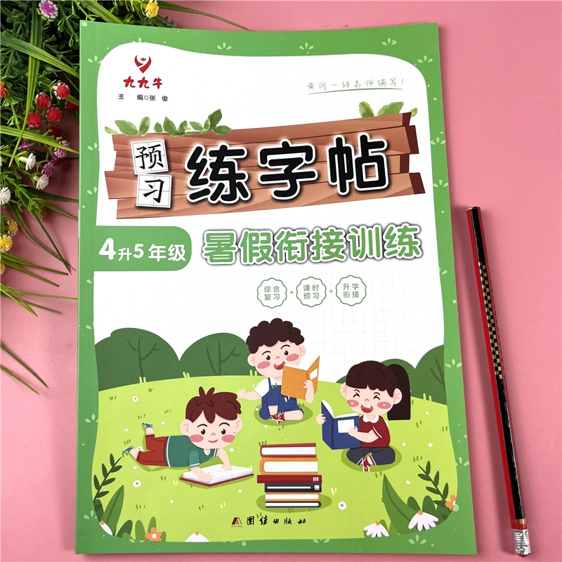 暑假练字帖四升五年级暑假练字帖语文生字笔顺笔画暑假预习练字帖