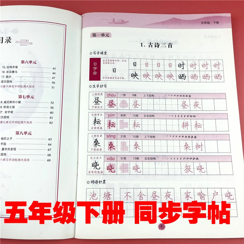 人教部编版五年级下册同步字帖生字词训练五年级语文同步练字帖