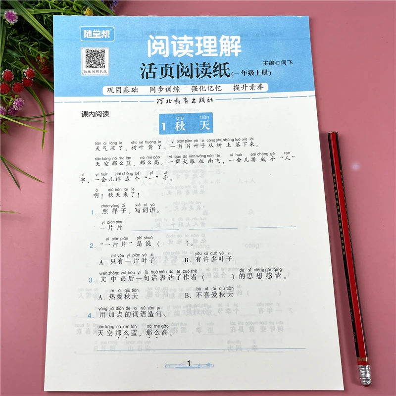 一年级上册阅读理解练习册人教版教材同步阅读一年级语文阅读理解