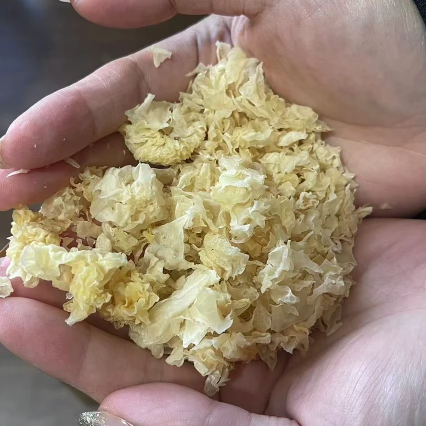 椴木小银耳碎 银耳碎