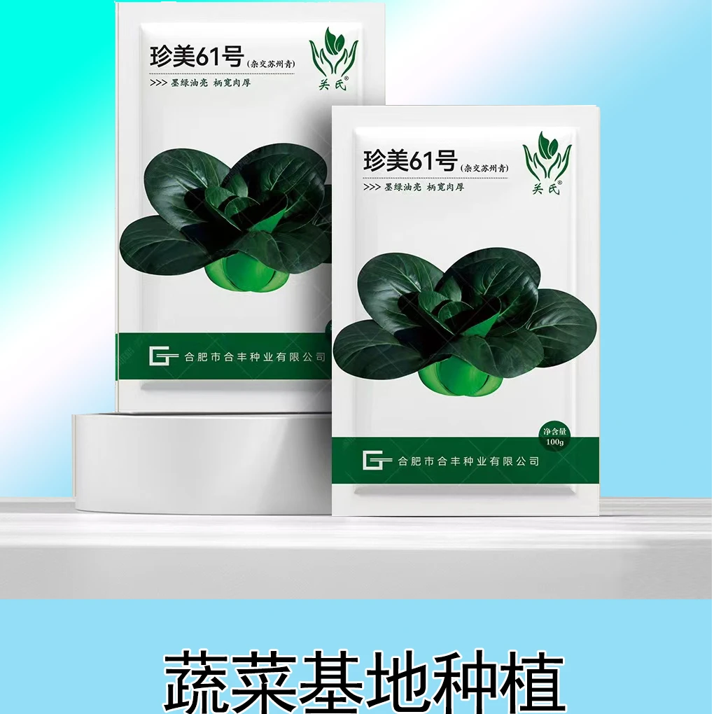 珍美61号苏州青黑菜种子秋冬季节播种生长矮脚耐寒甜糯高产直供