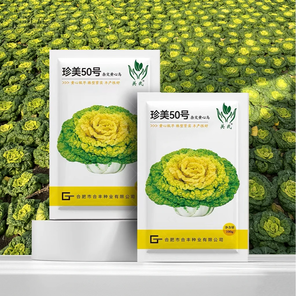 珍美50号高产黄心乌种子秋冬种植黄心早生长快品质好大棚露地均可