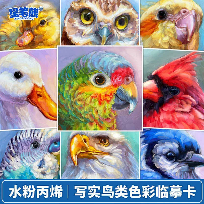 鸟类水粉丙烯少儿创意入门美术油画动物飞禽色彩画室范画临摹卡片
