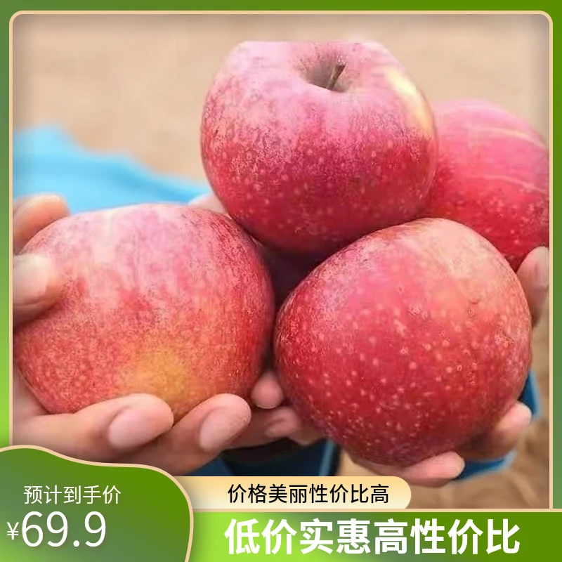 云南昭通丑苹果正宗冰糖心苹果新鲜应当季水果现摘红富士萍果2