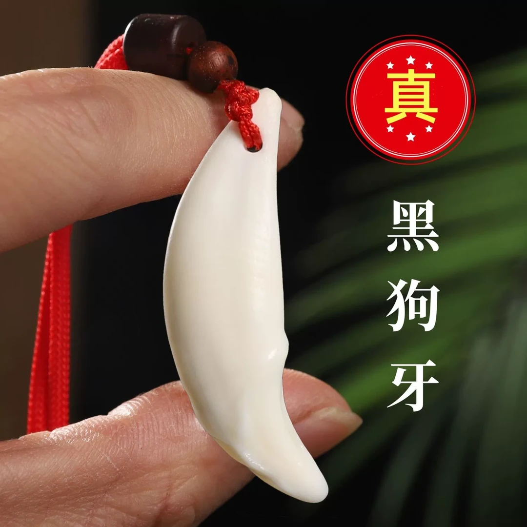 【吊坠款4.4~4.6cm】黑狗牙青少年成人吊坠创意饰品