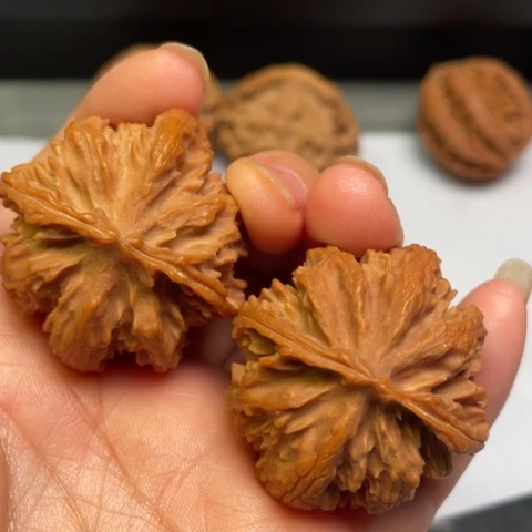 文玩核桃把件秦岭野生果