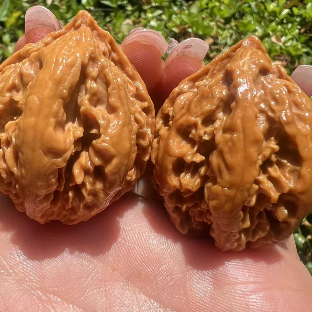 秦岭野生文玩核桃