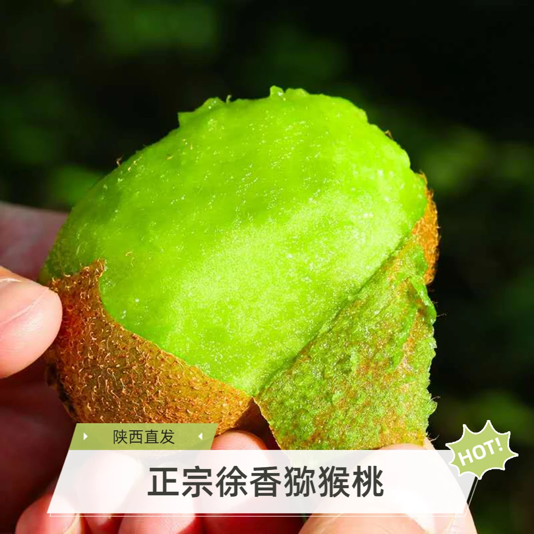 正宗【陕西 徐香猕猴桃】当季新鲜水果绿心奇异果2-5斤香甜多汁礼盒
