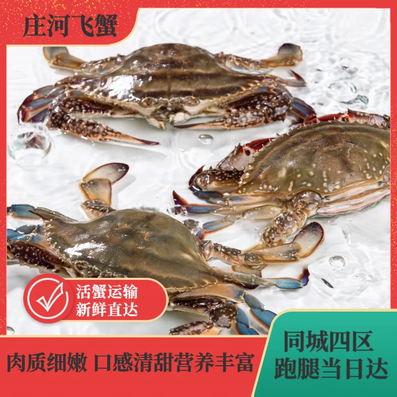 4两以上庄河大公飞蟹【保鲜不保活】规格3只左右/斤挂网缺腿正常