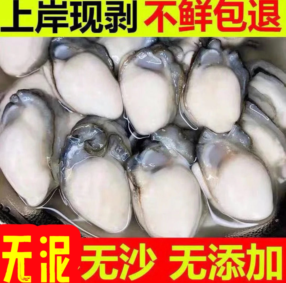 A昌乐江苏发货生蚝肉250g/盒(15-20只左右每盒)到手10盒