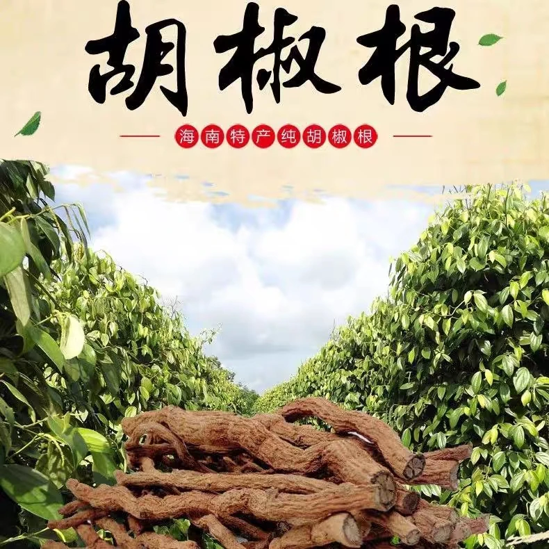 正宗海南胡椒根500克黑白胡椒根中药材胡椒根多规格海南胡椒根正