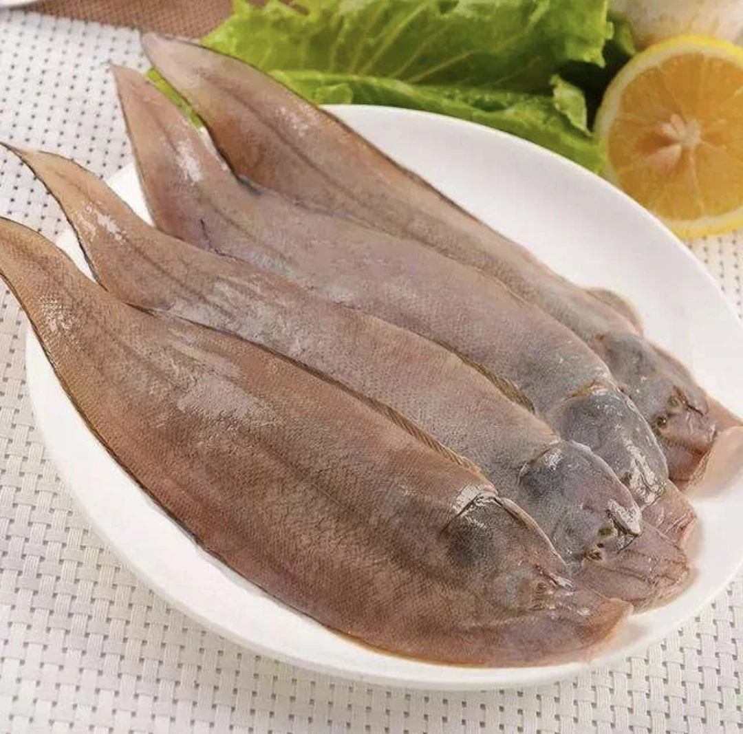 湛江本港天然海鲜细鳞小龙利鱼 一斤6-8条左右