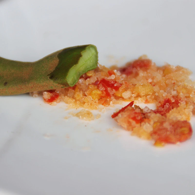 海南儋州生酸梅 酸豆 酸角三亚酸鱼汤原料中小果500G