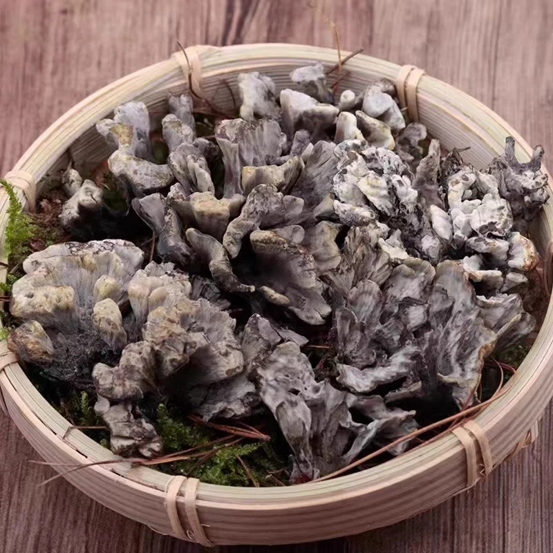 【干巴菌】净含量100g---500g