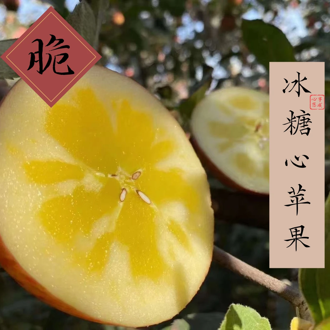 新疆阿克苏冰糖心苹果正宗脆甜糖心红富士优质水果9斤装產地直发
