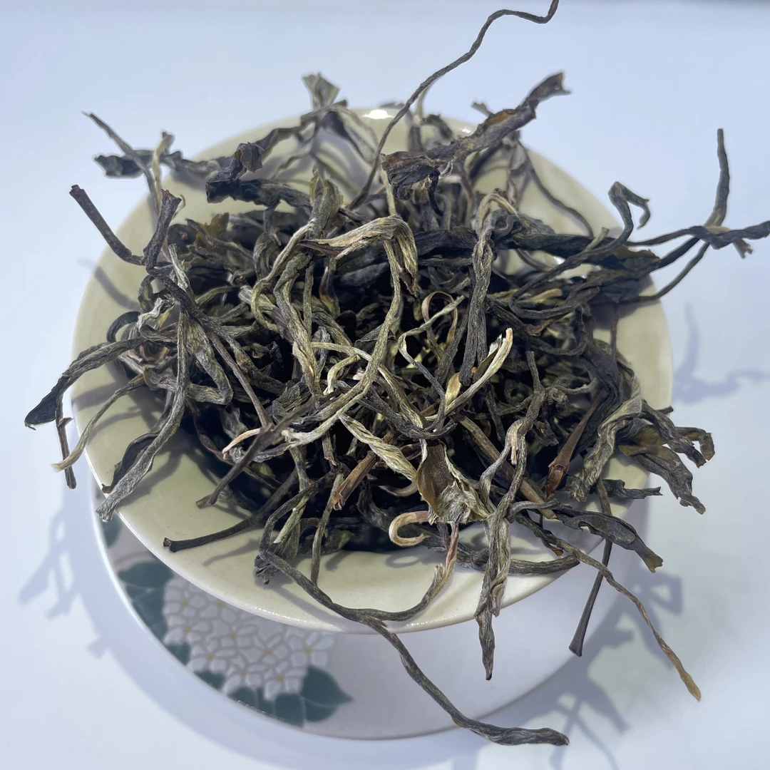 【云洱古茶】背阴山普洱老树春茶