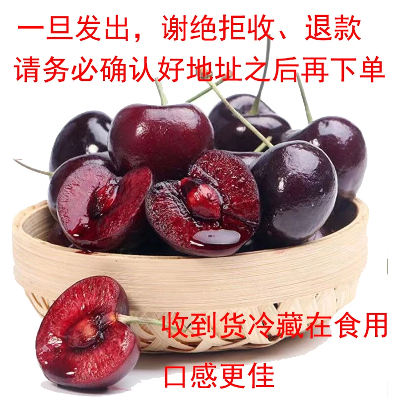 【树品源】智利进口海运车厘子纯冰bingJJD 净重5斤