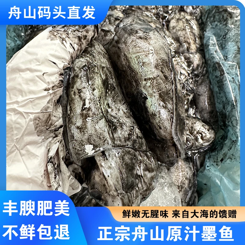 福利！舟山原汁墨鱼！