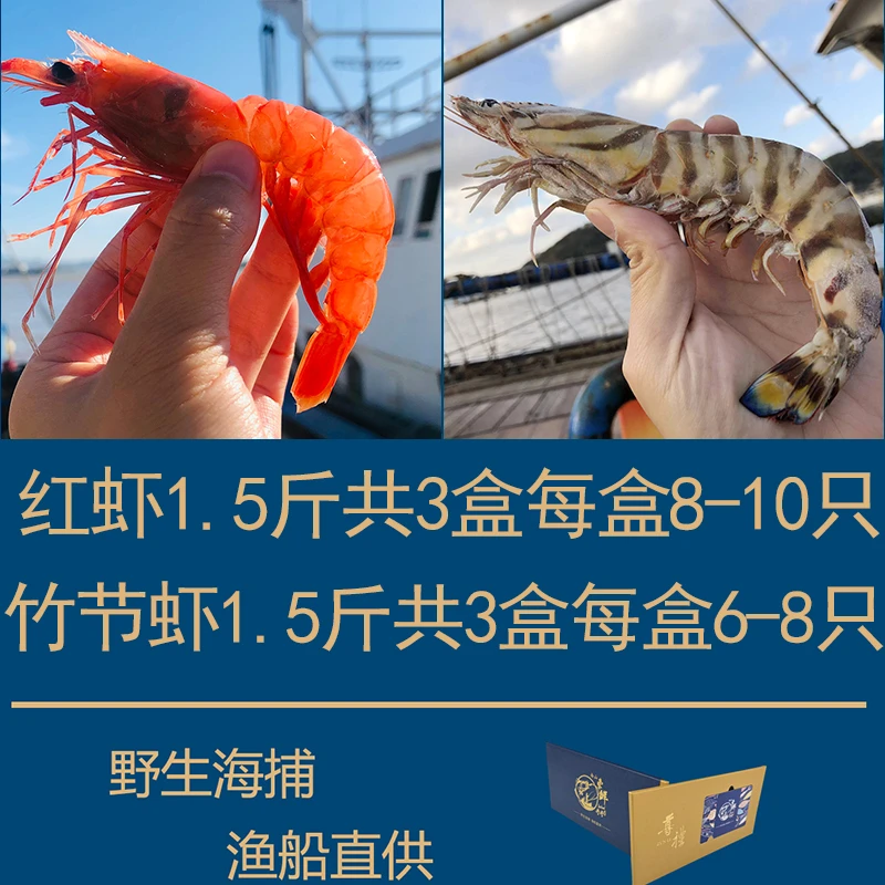 虾拼3斤！红虾竹节虾 各1.5斤！舟山野生船冻海捕大虾！新鲜营养