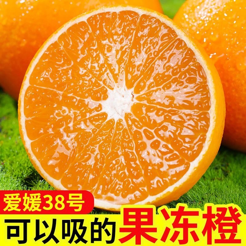 【开播福利】四川爱媛38号果冻橙产地直发香甜爆汁手剥橙新鲜应季