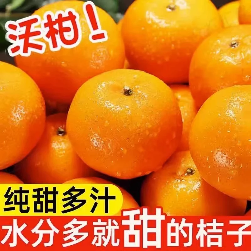 【爱心助农】新鲜采摘正宗广西武鸣沃柑纯甜爆汁可口整箱包邮