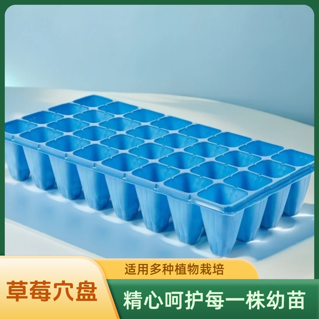 32孔加深加厚草莓林木扦插育苗盘