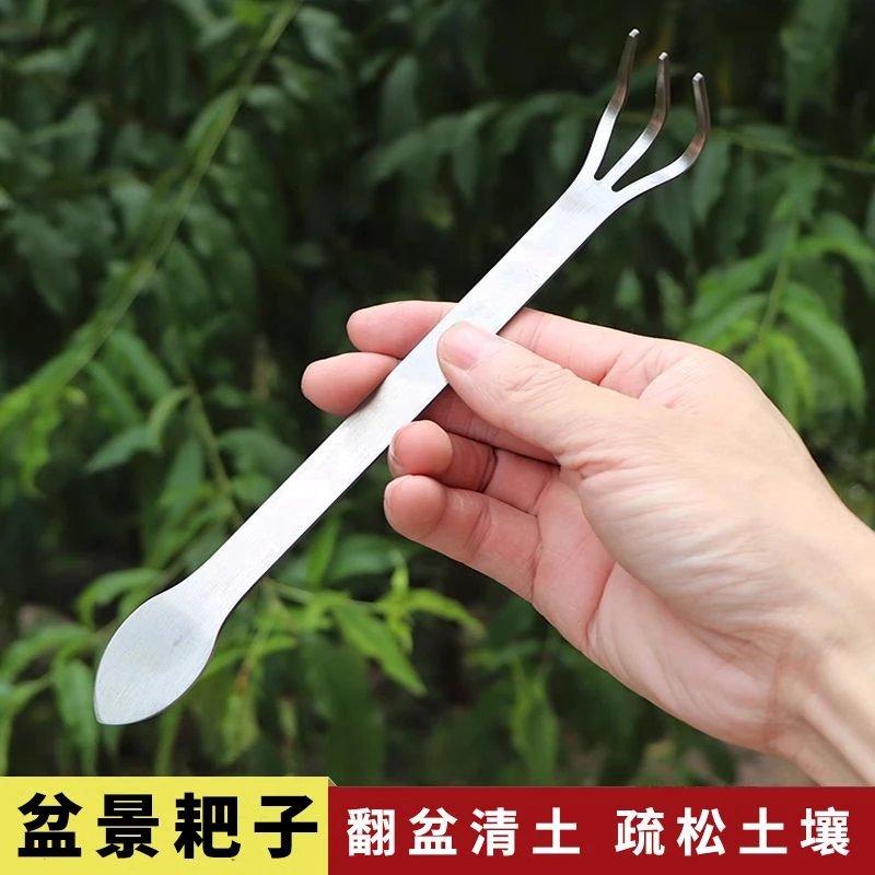 不锈钢两用镊子耙子盆景撬土压土刀盆栽多肉植物松柏摘芽