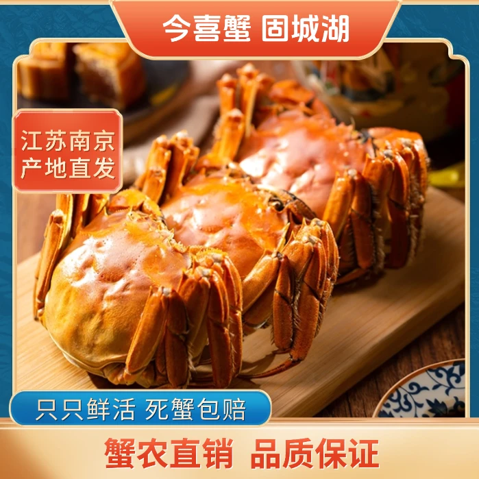 【活蟹】固城湖活蟹蟹1.8-3两全公3斤