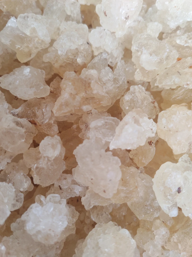 云南土特产…雪干货链接