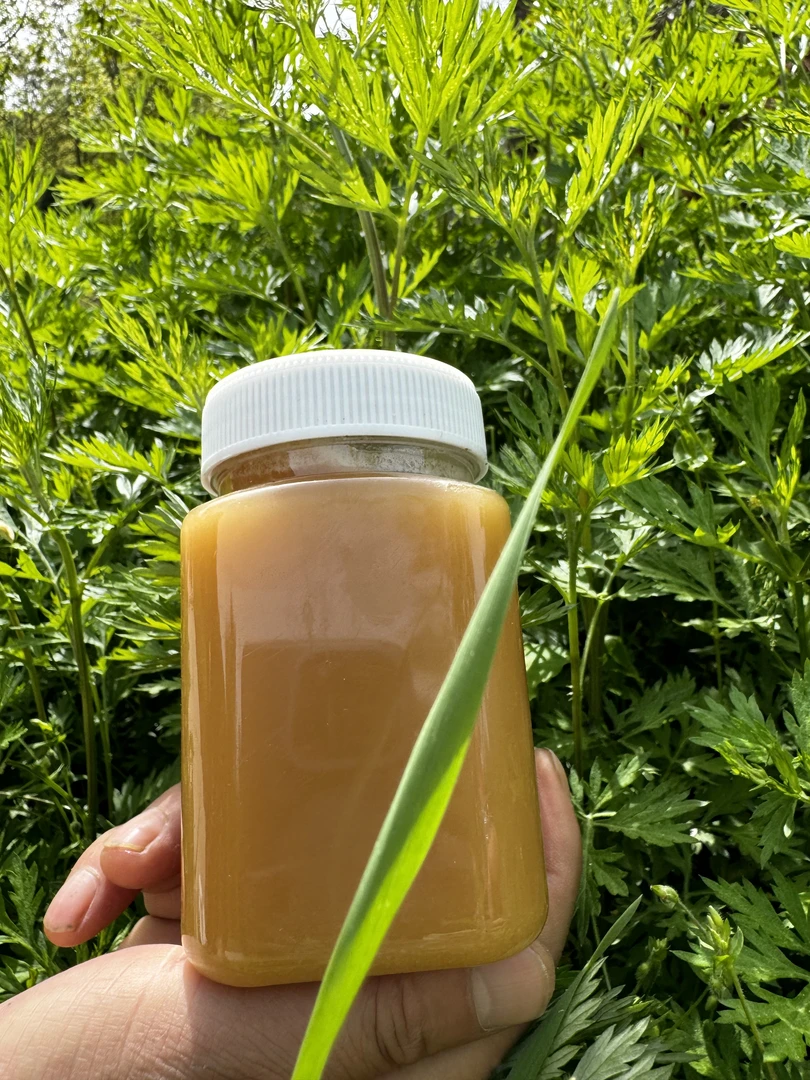 （司马专属）现收秦岭农家百花蜜 中蜂/ 结晶百花蜜 每瓶重1斤