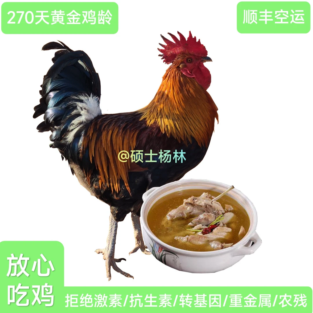 土鸡，大公鸡7个月，从小散养，零饲料零添加