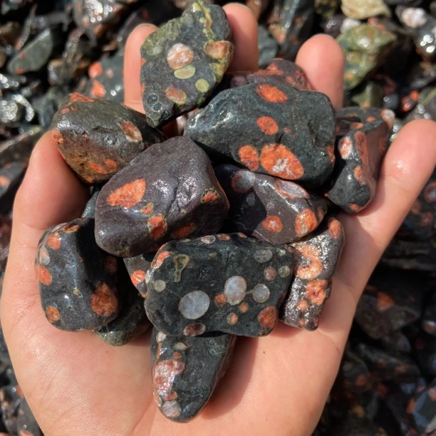 【三种花色】安山岩梅花玉鱼缸石龟鱼缸造景装饰净水火山石溪流石