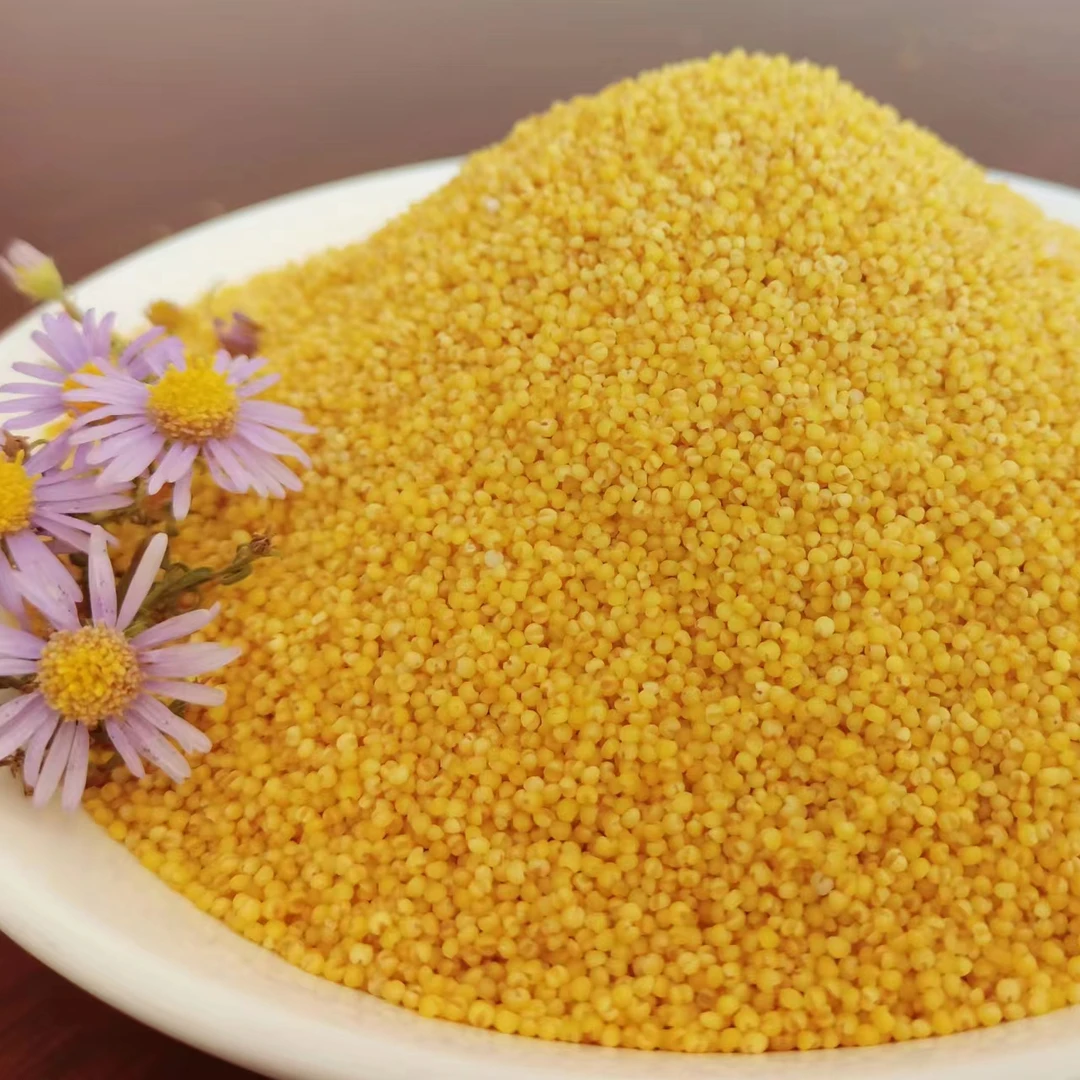 黄小米、月子米、米油、米脂、