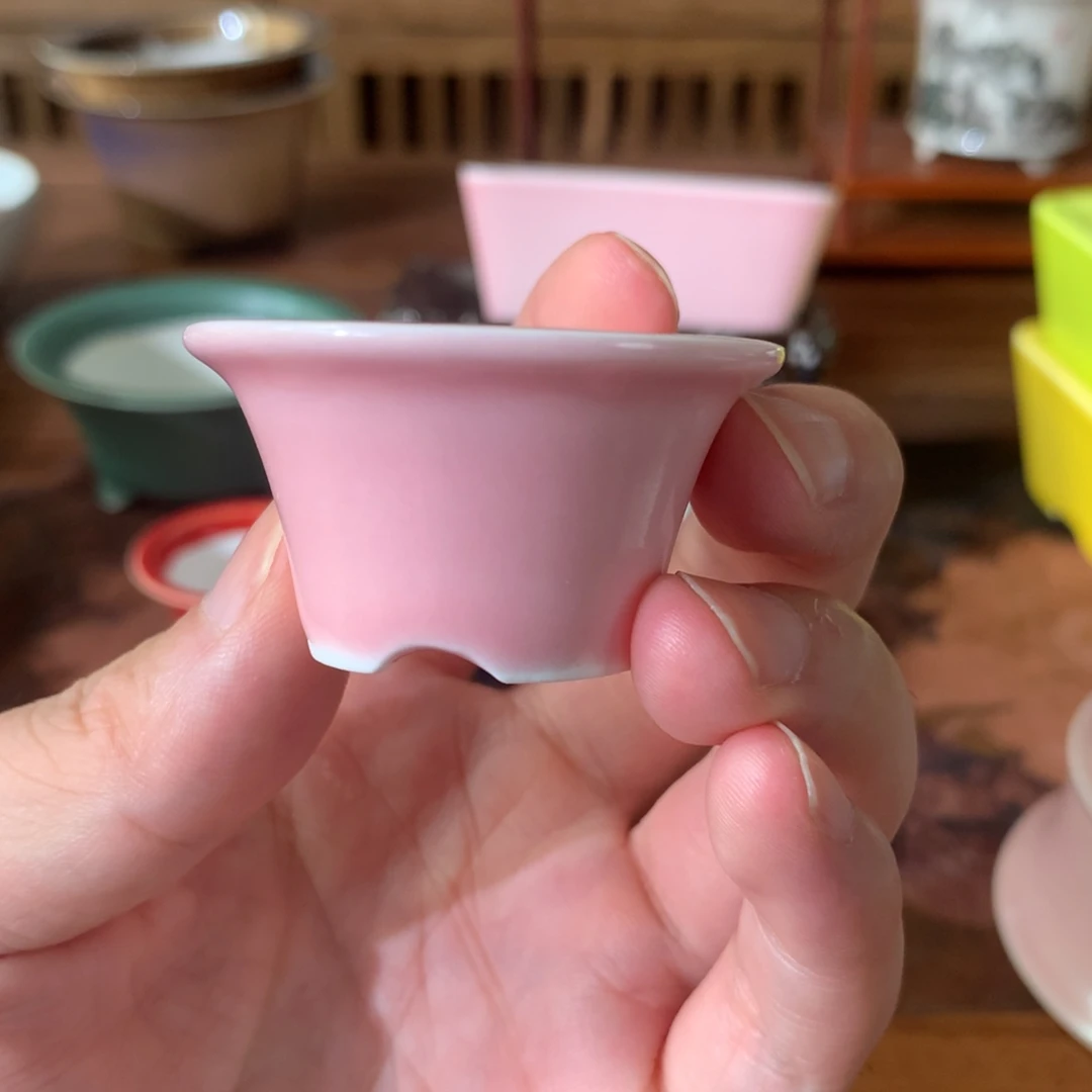 红陶20CM（含）-50CM（不含）沧**田