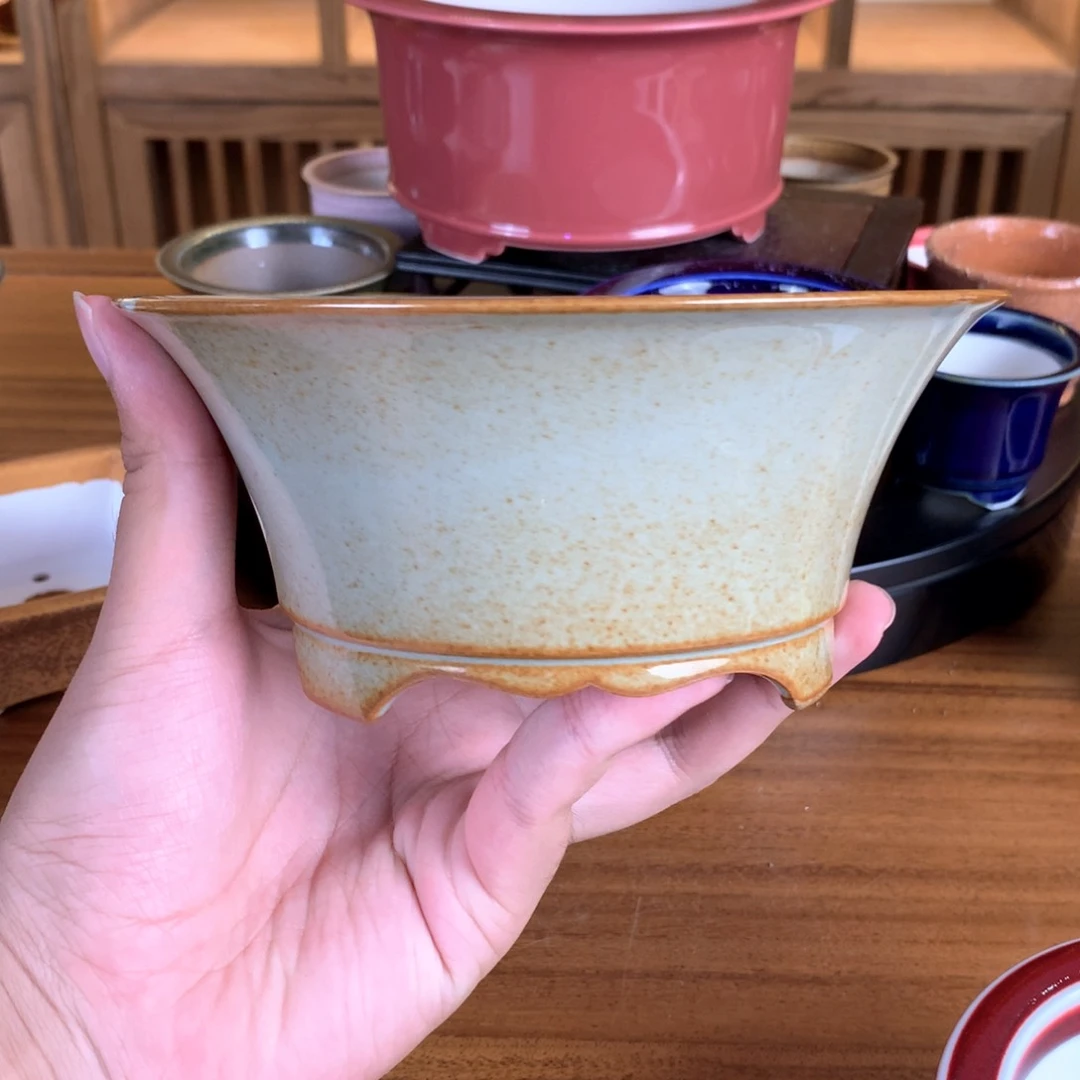 红陶20CM（含）-50CM（不含）