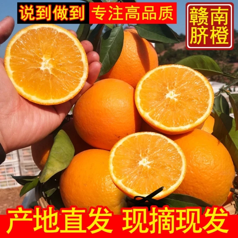 橙子赣南脐橙新鲜10斤产地直发水果新鲜当季整箱正宗江西手剥橙