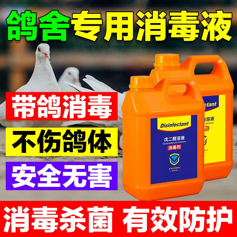 鸽舍消毒液带鸽笼鸽棚鸽场厂消毒液养殖场专用鸽子鸽用消毒液剂水