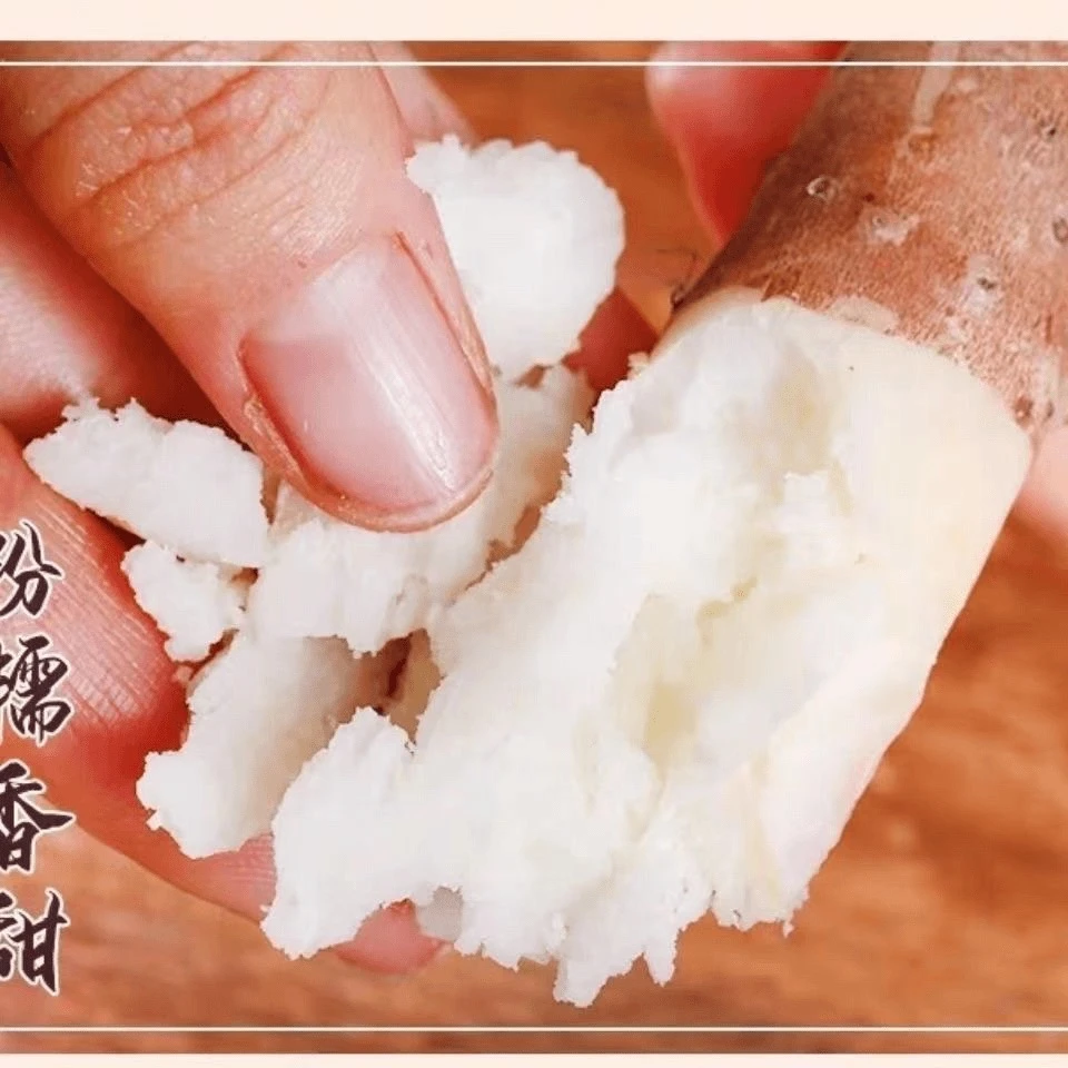 新鲜山药铁棍山药小白嘴软糯河北蠡县产地直发