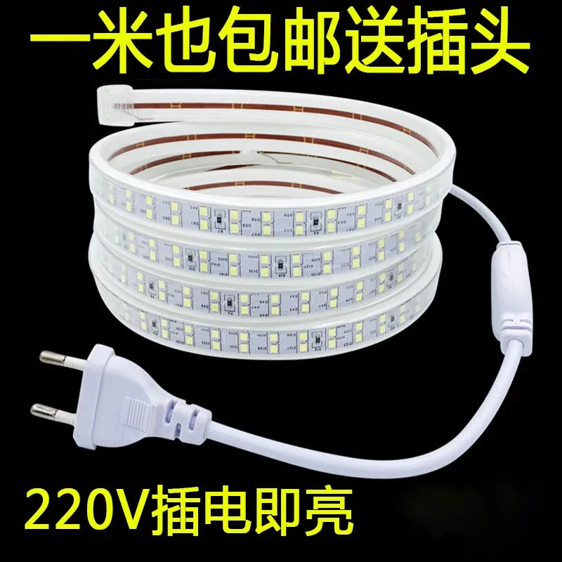 【1米送插头】led灯带220V户外家用高亮插电客厅灯带工程防水灯带